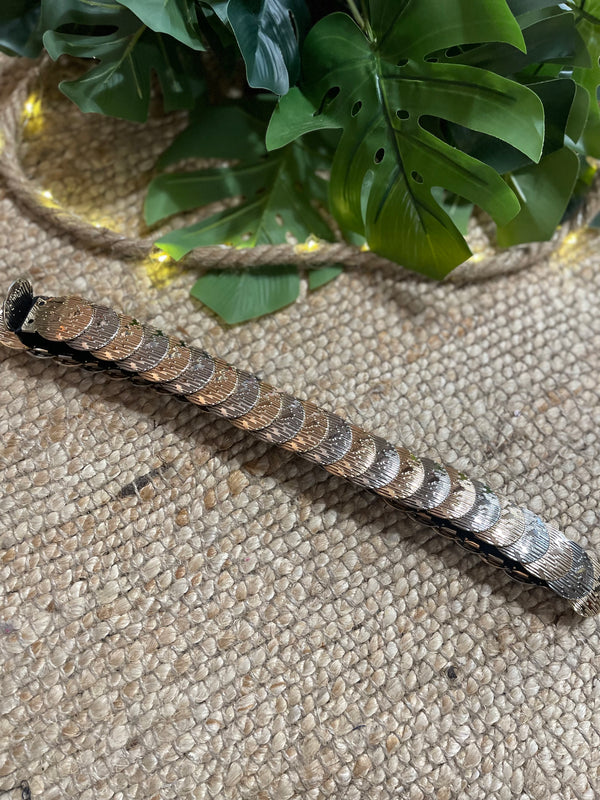 Ceinture Éclipse